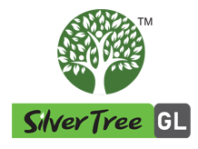 Silver Tree GL